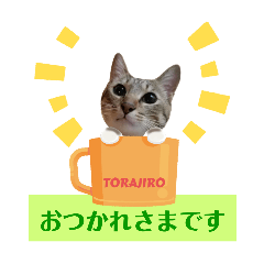 [LINEスタンプ] 猫の寅次郎くん。vol.6