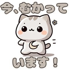 [LINEスタンプ] かわネコ待ち合わせスタンプ