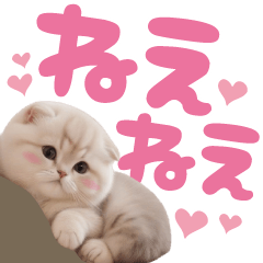 [LINEスタンプ] スコティッシュ猫 可愛いく使えるデカ文字の画像（メイン）