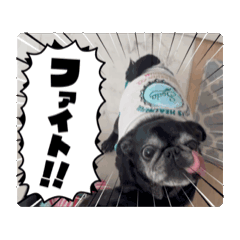 [LINEスタンプ] 黒犬グループ総裁