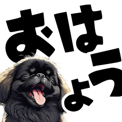 [LINEスタンプ] 毎日使える可愛い黒ペキニーズでか文字