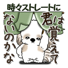 [LINEスタンプ] シーズーちゃん『時々ストレートに』