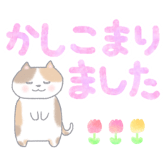 [LINEスタンプ] にゃんず日常でか文字スタンプ