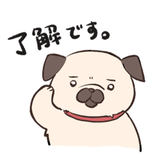 [LINEスタンプ] おパグの毎日スタンプ