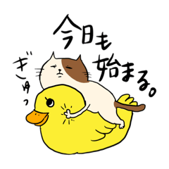 [LINEスタンプ] ゆるい猫たちとの日常