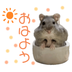 [LINEスタンプ] ブルーサファイアハムスターのスタンプ
