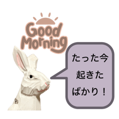 [LINEスタンプ] 無表情な兎と猫