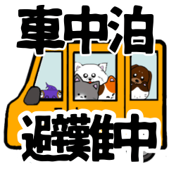 [LINEスタンプ] サメのスタンプ5防災でか文字/シュモクザメ