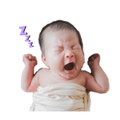 [LINEスタンプ] RIZUKI＆IROHA
