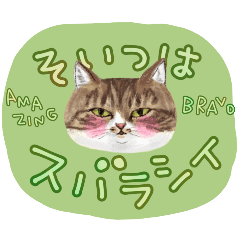 [LINEスタンプ] デカ文字ニャンコまにあの画像（メイン）