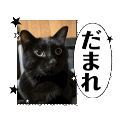 [LINEスタンプ] 動くノア君