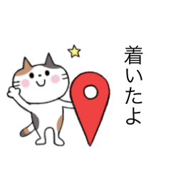 [LINEスタンプ] 猫⭐︎毎日使える（三毛猫）