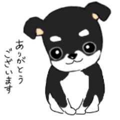 [LINEスタンプ] そら 大好き