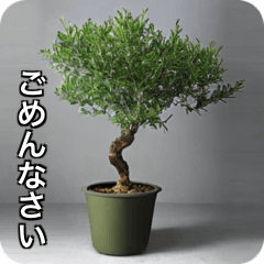 [LINEスタンプ] 観葉植物で一言