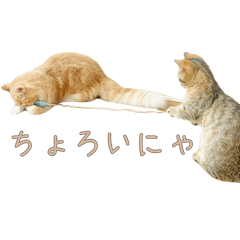 [LINEスタンプ] おベルとおリルのスタンプ2