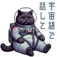 [LINEスタンプ] 宇宙猫の言い訳【ネコ・いいわけ・面白い】