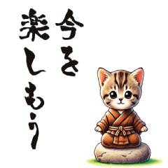 [LINEスタンプ] 悟りを開いた言葉を言う赤ちゃんネコの画像（メイン）