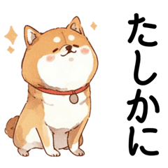 [LINEスタンプ] 即レスの返信が簡単な敬語の柴犬