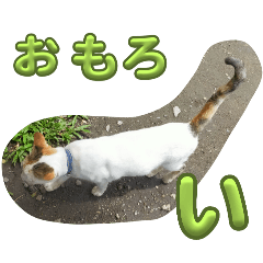 [LINEスタンプ] n猫がいる4