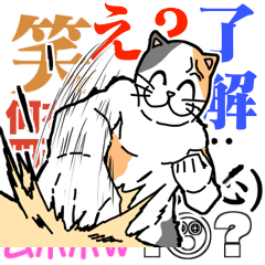 [LINEスタンプ] 【総集編5】無言ブチギレネコ+文字スタンプ