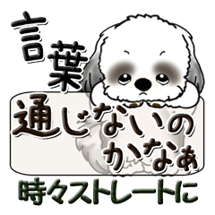 [LINEスタンプ] B ＆ W シーズーちゃん『時々ストレートに』の画像（メイン）