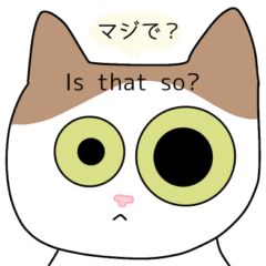 [LINEスタンプ] えらちゃん日常語り