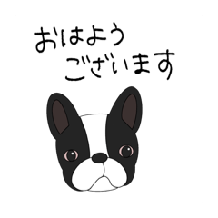 [LINEスタンプ] Bunta and Maru