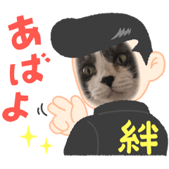 [LINEスタンプ] 愛猫みいたん