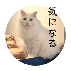 [LINEスタンプ] アドくんアマくんからの伝言②