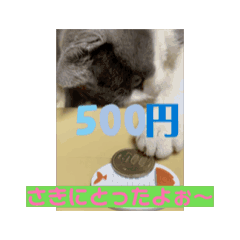 [LINEスタンプ] 猫家族の日常Part1