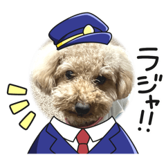 [LINEスタンプ] トイプードル、ルイルイの画像（メイン）