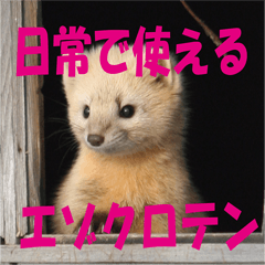 [LINEスタンプ] 日常で使えるエゾクロテン