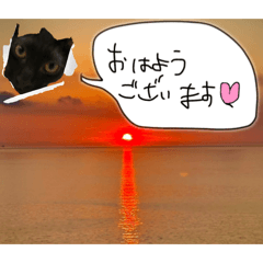 [LINEスタンプ] お酒とネコ好きな日常会話 9 あいさつver.