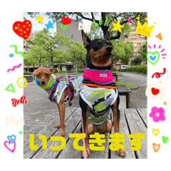 [LINEスタンプ] るくびっと