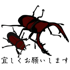 [LINEスタンプ] 本土ノコギリクワガタスタンプ