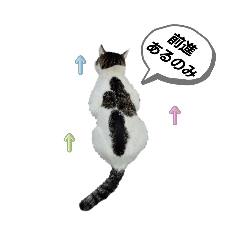[LINEスタンプ] 大ちゃんの毎日スタンプ