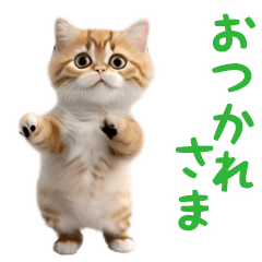 [LINEスタンプ] 踊る！ダンス猫3の画像（メイン）