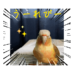 [LINEスタンプ] 動くウロコインコ