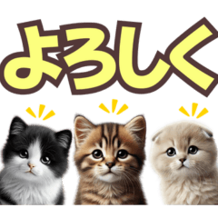 [LINEスタンプ] 可愛い子猫と♡デカ文字スタンプ