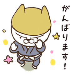 [LINEスタンプ] Let's BJJ -白帯BJJネコの柔術日記-