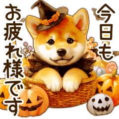 [LINEスタンプ] 毎日使える柴犬の秋✩.*˚