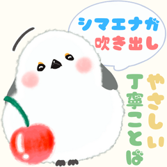 [LINEスタンプ] シマエナガでか文字大人優しいカラフル敬語