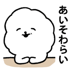 [LINEスタンプ] 毎日使える？ビションフリーゼ3