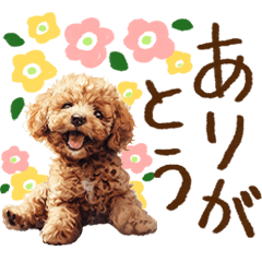 [LINEスタンプ] デカ文字✳︎トイプードルのスタンプの画像（メイン）