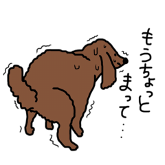 [LINEスタンプ] トイプーがくちゃん