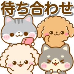 [LINEスタンプ] といぷー♡にゃんこ♡豆柴犬の待ち合わせの画像（メイン）