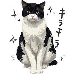 [LINEスタンプ] 牛柄猫のカヴァロ君