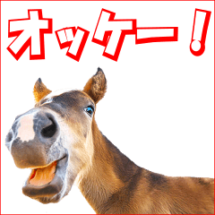 [LINEスタンプ] キュートでシュールな馬のスタンプ集