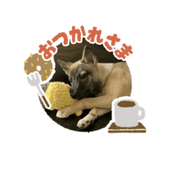[LINEスタンプ] むくちゃん wild dog Muku