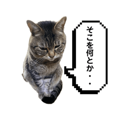 [LINEスタンプ] えぼとやえ